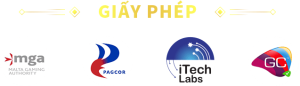 giấy phép kinh doanh