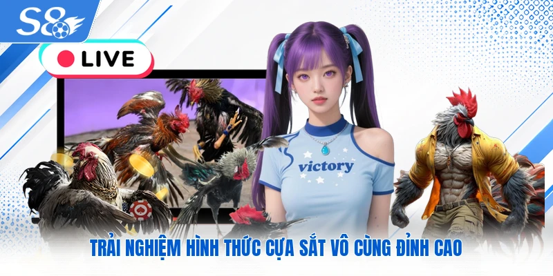 Trải nghiệm hình thức cựa sắt vô cùng đỉnh cao